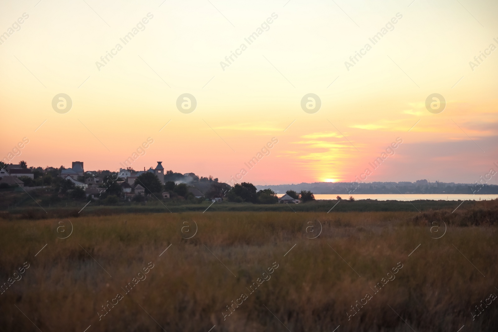 Photo of Beautiful view of field at sunrise. Early morning landscape