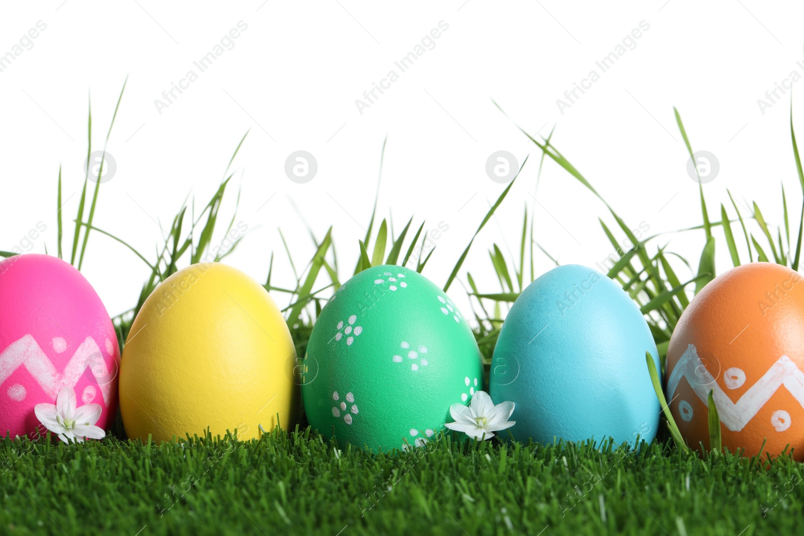 Photo of Colorful Easter eggs and flowers on green grass against white background