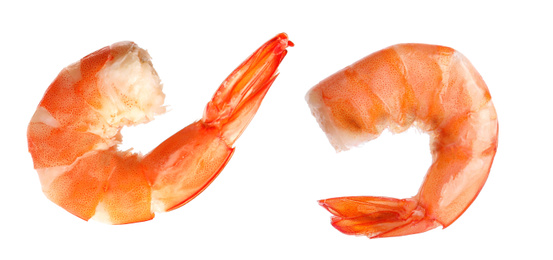 Image of Delicious freshly cooked shrimps on white background