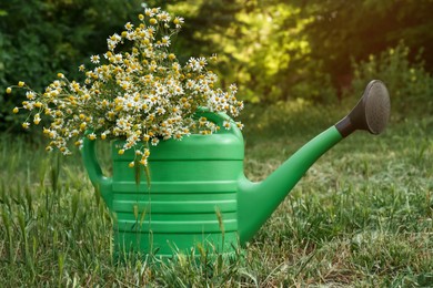 Photo of Beautiful bouquet of chamomiles in green watering can on grass outdoors