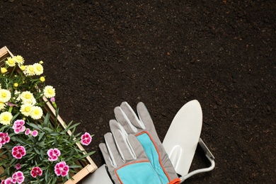 Flat lay composition with gardening tools and flowers on soil, space for text