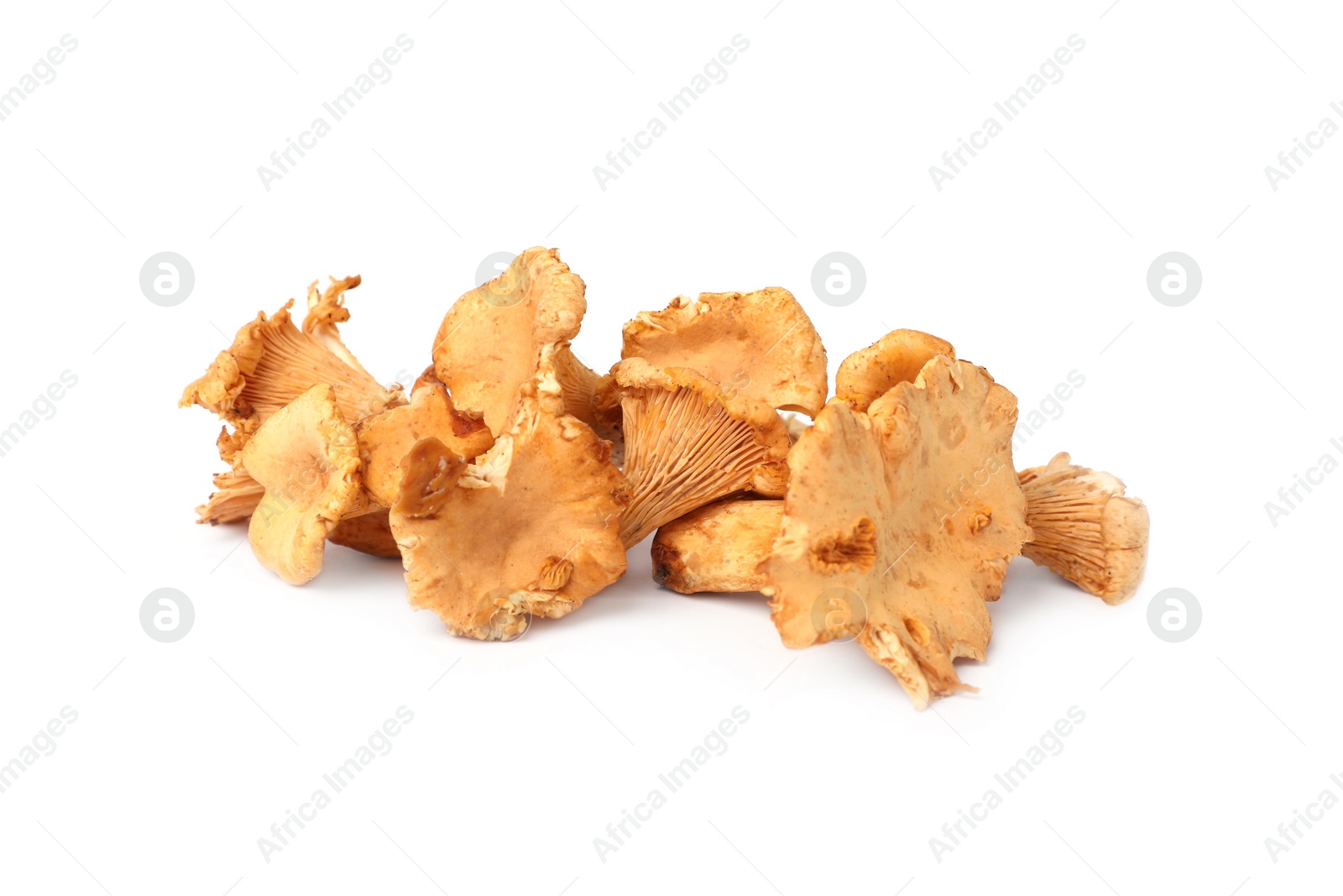 Photo of Many fresh chanterelle mushrooms isolated on white