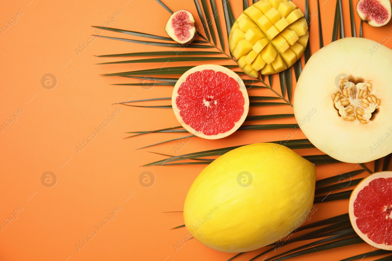 Photo of Flat lay composition with melon, other fruits and space for text on color background