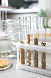Photo of Glassware with seeds samples on light table in laboratory