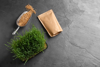 Photo of Flat lay composition with wheat grass, paper bag and grains on grey table. Space for text