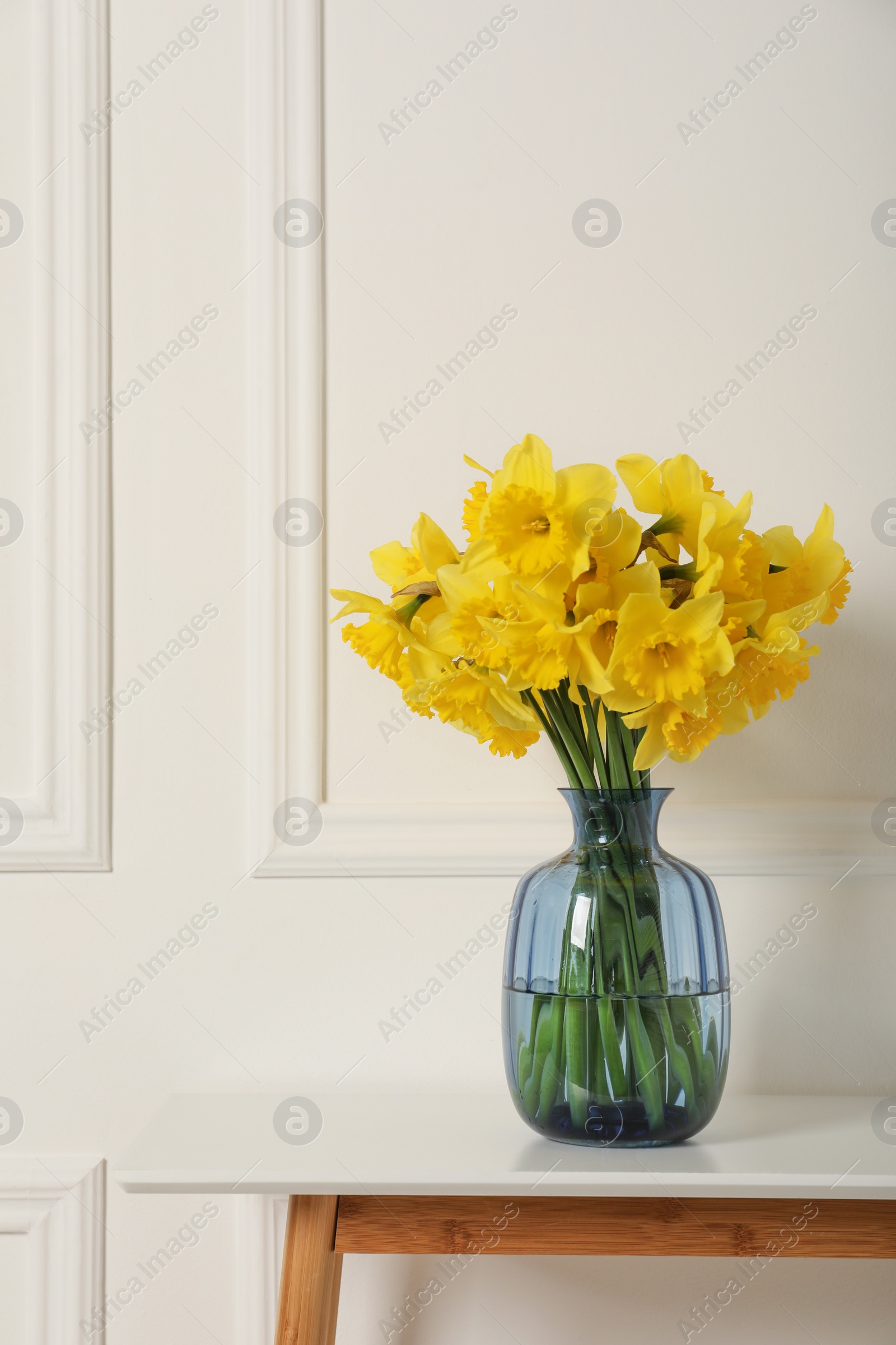 Photo of Beautiful daffodils in vase on table near white wall indoors, space for text