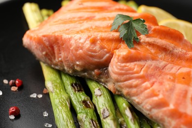 Tasty grilled salmon with asparagus and spices on plate, closeup
