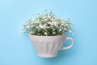 Photo of Beautiful gypsophila in white cup on light blue background, top view