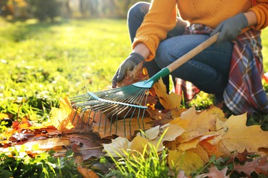 Woman raking fall leaves in park, closeup. Space for text