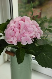 Beautiful blooming pink hortensia in can on window sill indoors, closeup