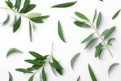 Composition with fresh green olive leaves and twigs on white background, top view