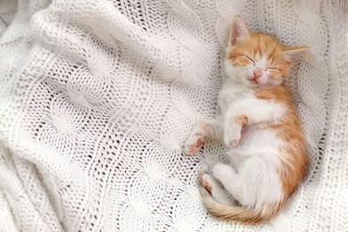 Photo of Cute little kitten sleeping on white knitted blanket, top view. Space for text