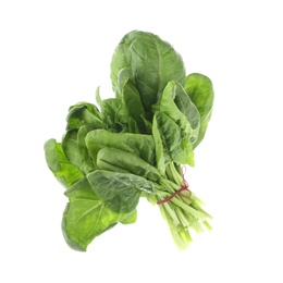 Photo of Bundle of fresh spinach isolated on white