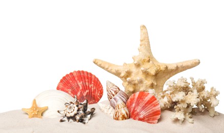 Photo of Beautiful starfishes, coral and sea shells in sand on white background