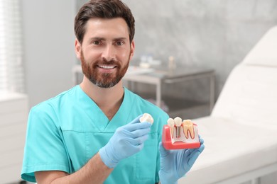 Photo of Dentist holding educational model of dental implant in clinic