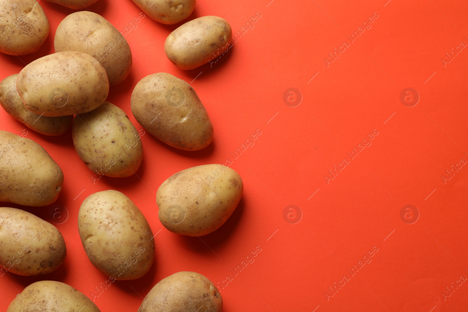 Photo of Many fresh potatoes on red background, flat lay. Space for text