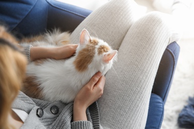 Photo of Woman with cute fluffy cat on sofa, closeup