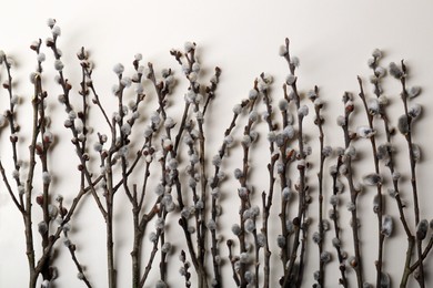 Photo of Beautiful willow branches with fuzzy catkins on beige background, flat lay