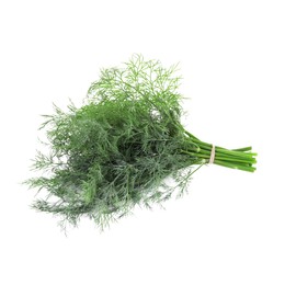 Bunch of fresh dill isolated on white