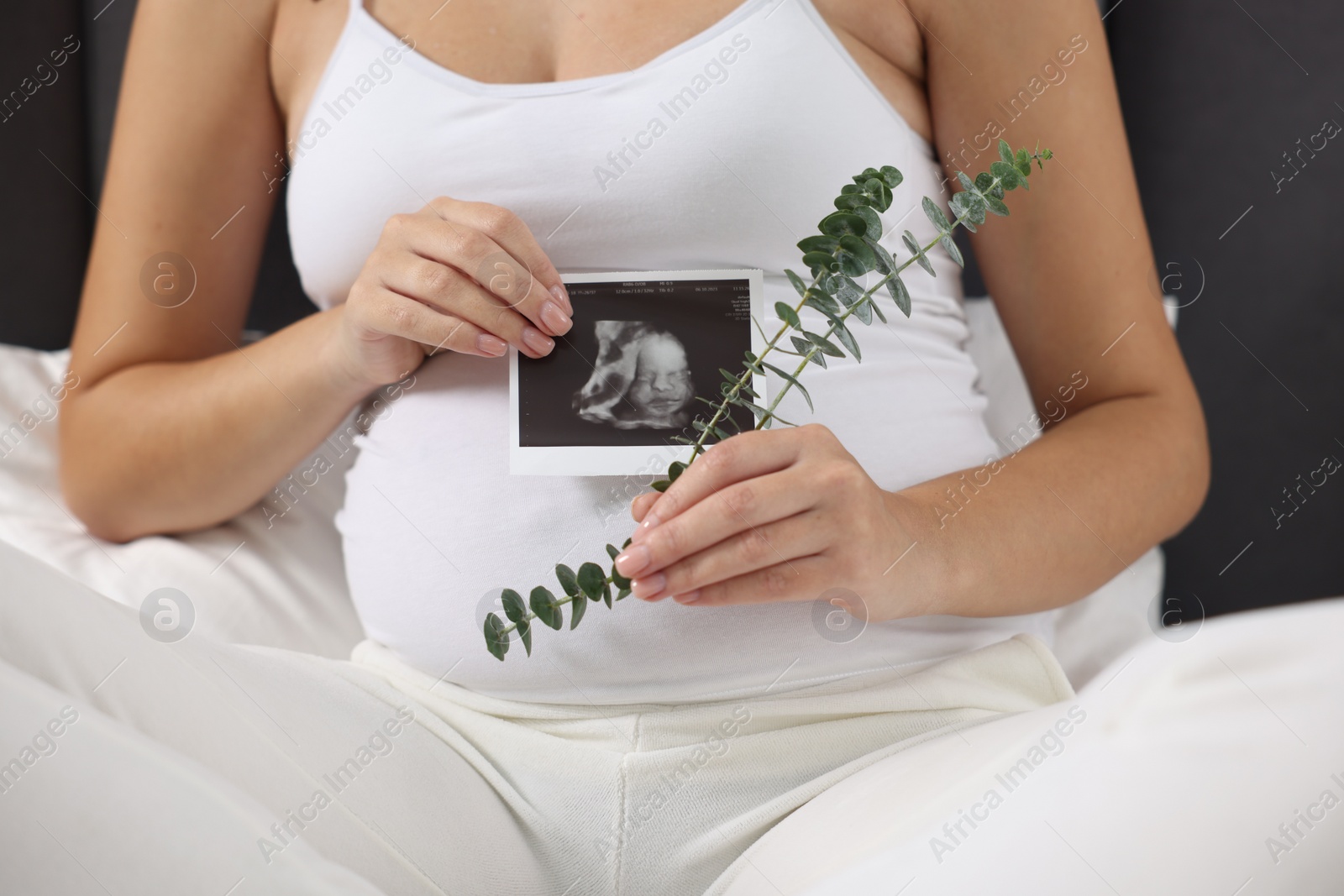 Photo of Pregnant woman with ultrasound picture of baby and plant twig on bed, closeup