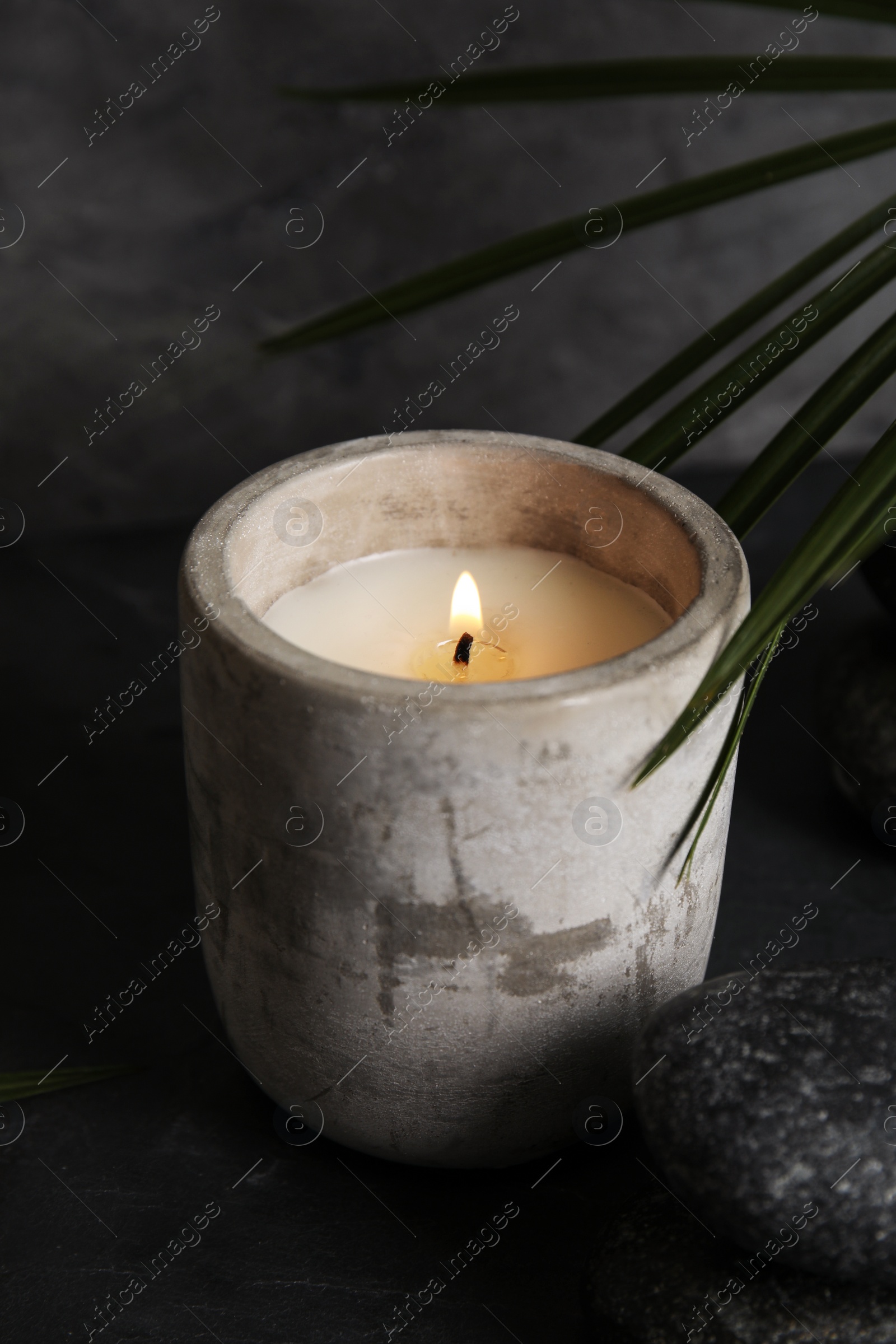 Photo of Palm leaf near burning candle and spa stones on dark table