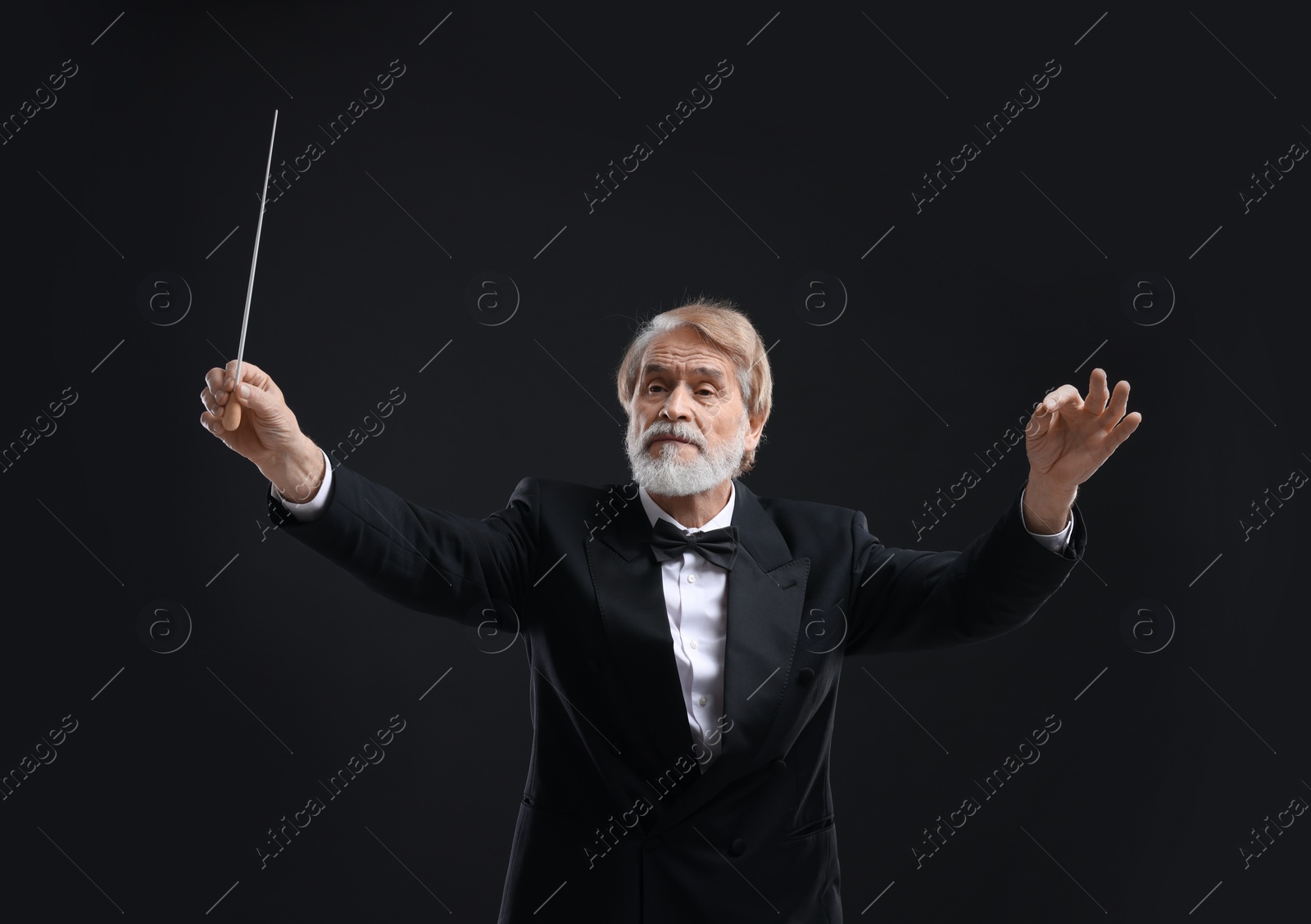 Photo of Professional conductor with baton on black background