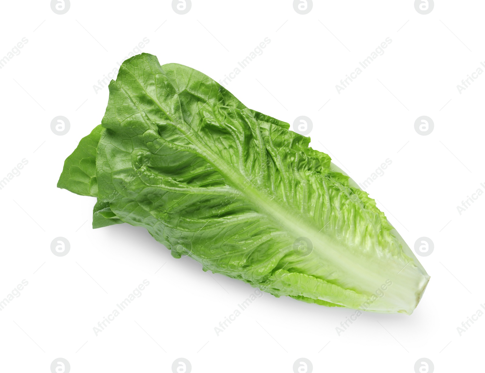 Photo of Fresh green romaine lettuce isolated on white