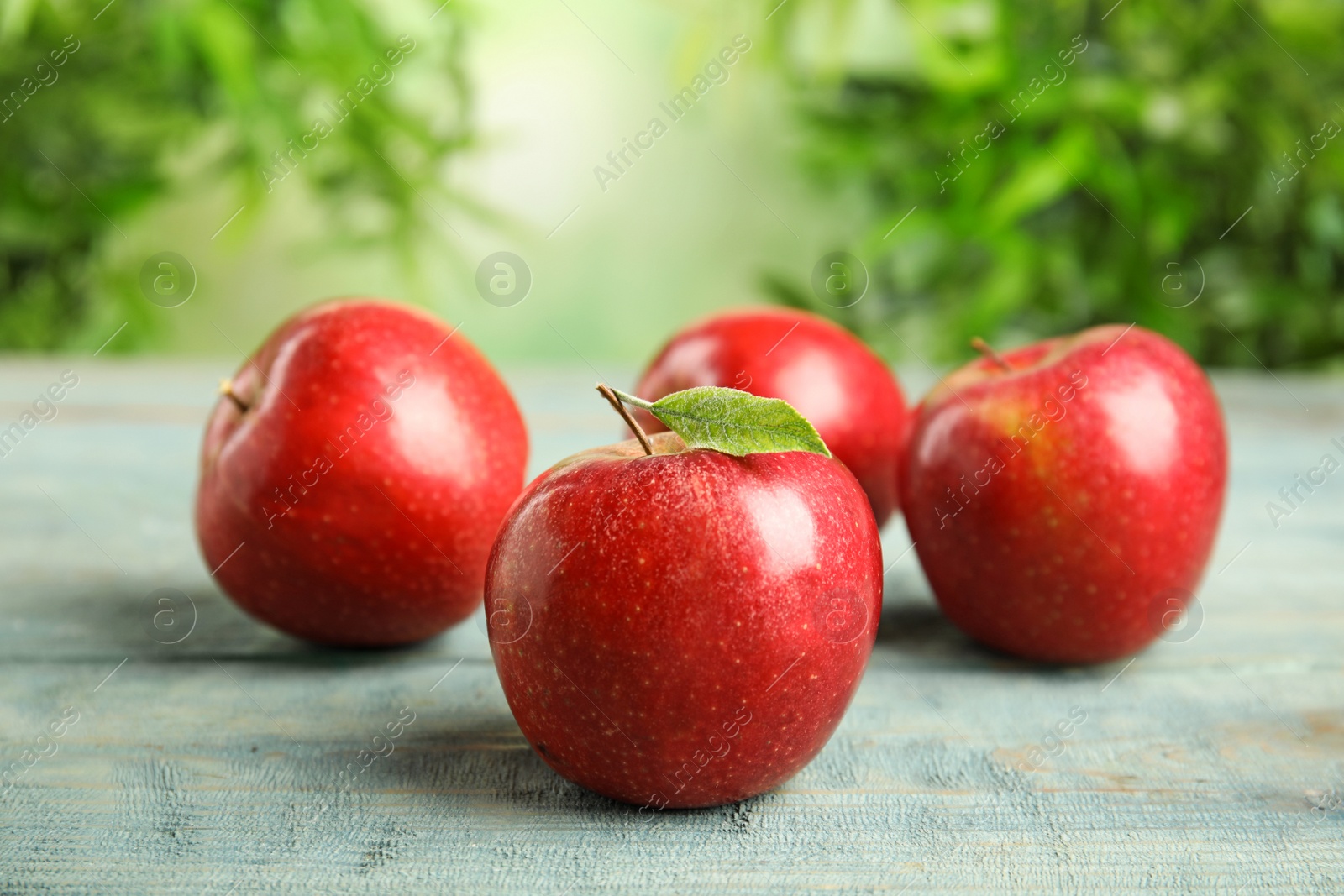 Photo of Ripe juicy red apples on blue wooden table against blurred background. Space for text