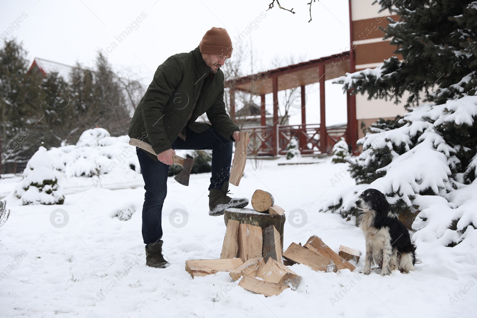 Photo of Man chopping wood with axe next to cute dog outdoors on winter day