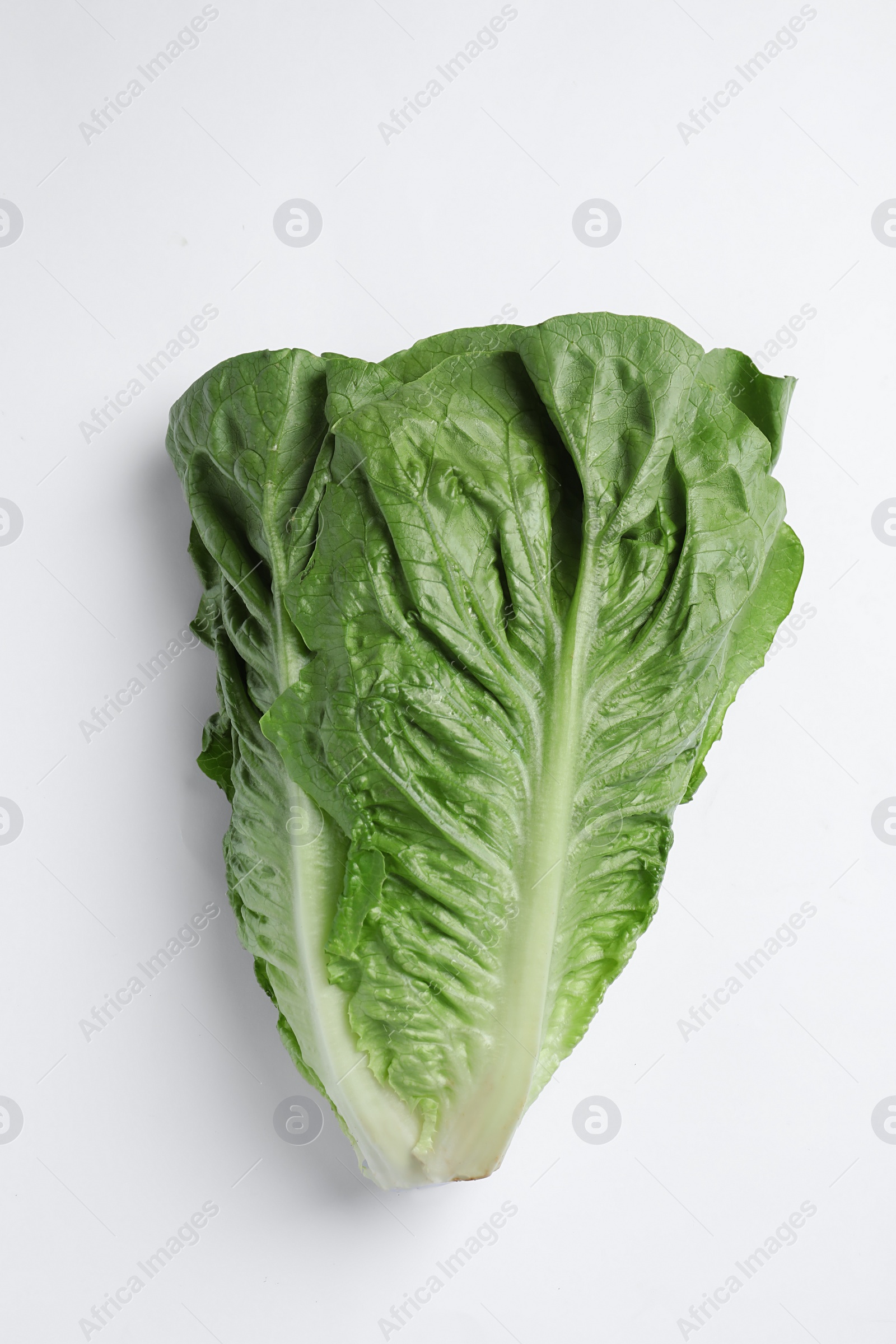 Photo of Fresh green romaine lettuce on white background, top view