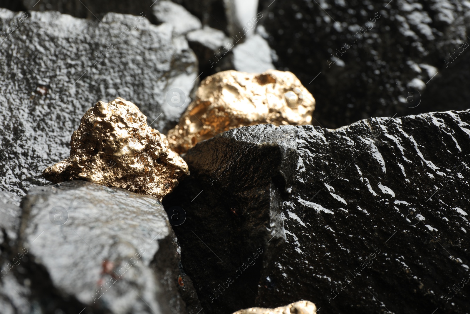 Photo of Shiny gold nuggets on wet stones, closeup