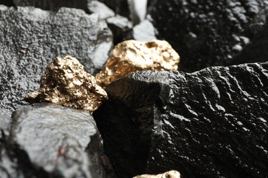 Shiny gold nuggets on wet stones, closeup