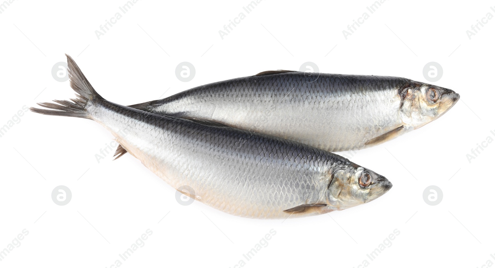 Photo of Whole delicious salted herrings isolated on white, top view