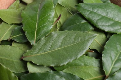 Photo of Many fresh bay leaves, closeup. Spices for cooking