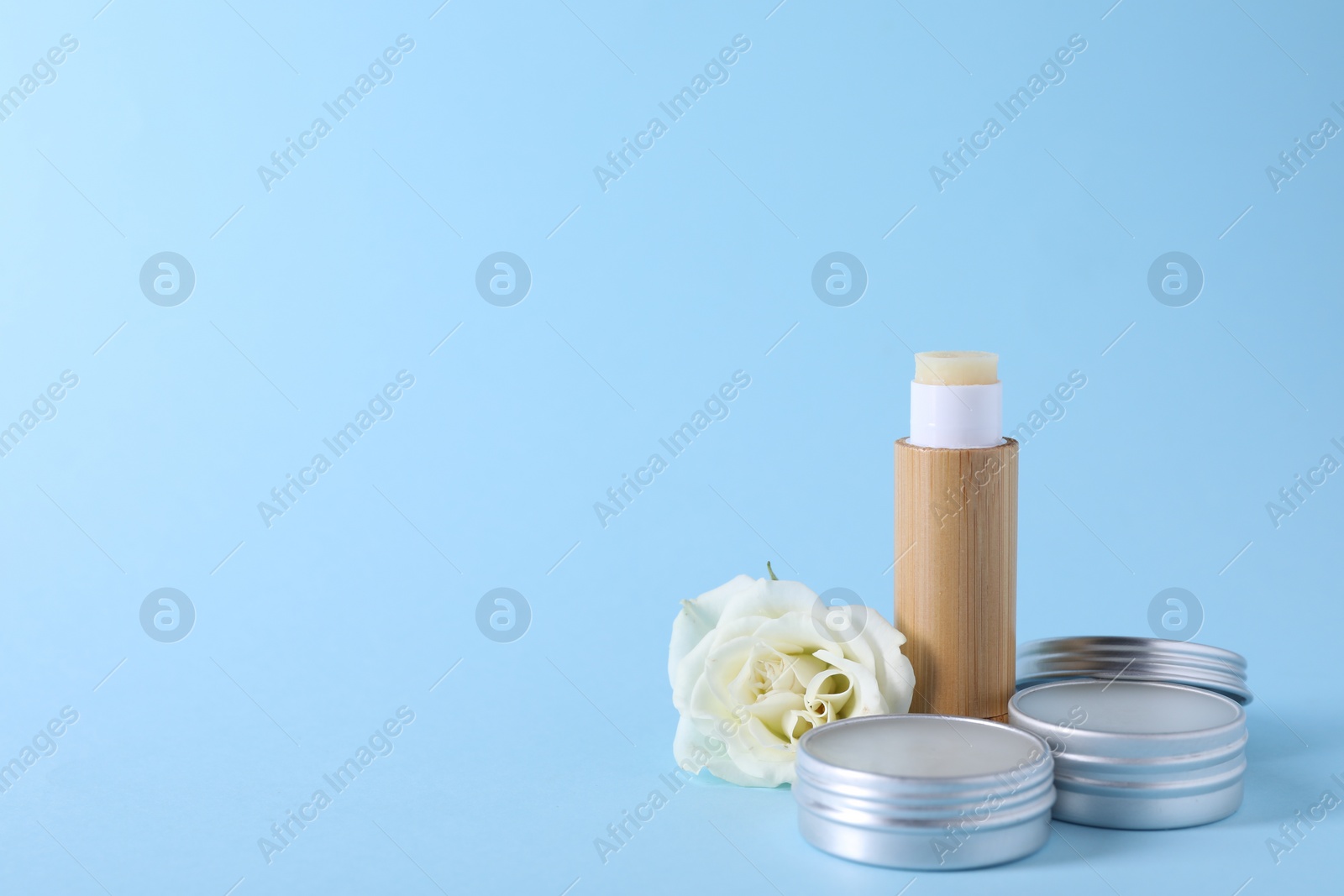 Photo of Different lip balms and rose flower on light blue background. Space for text