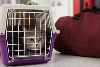 Photo of Travel with pet. Cute cat in carrier and bag indoors