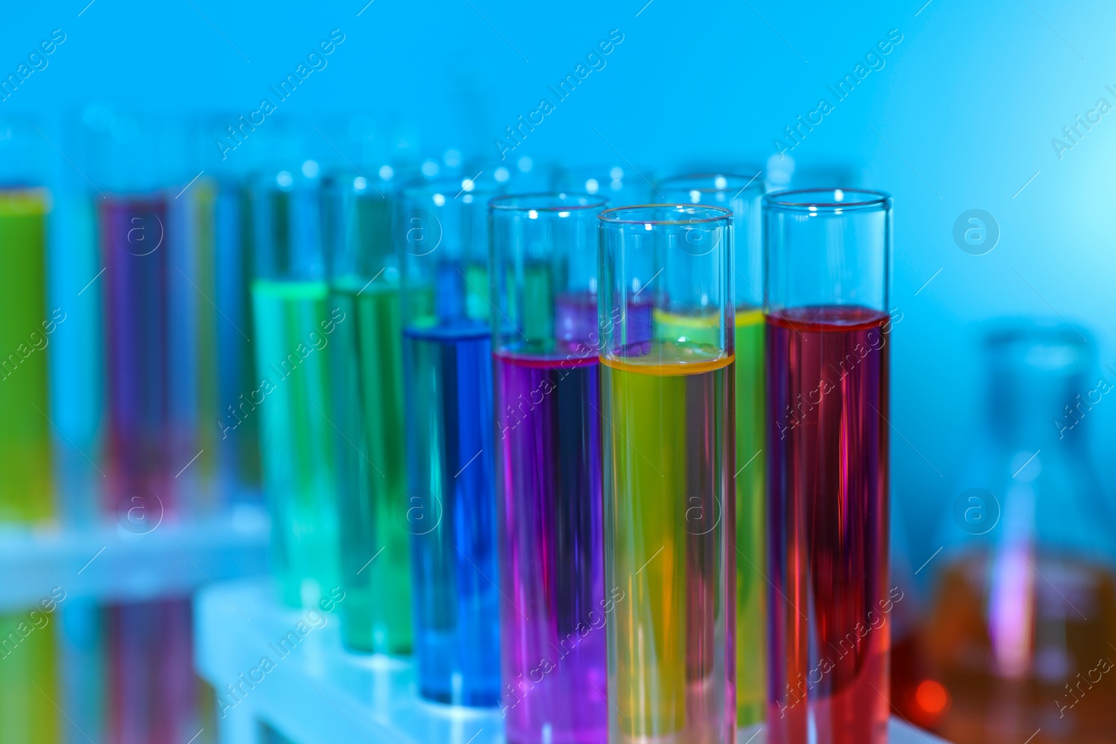 Photo of Many test tubes with colorful liquids on light blue background, closeup