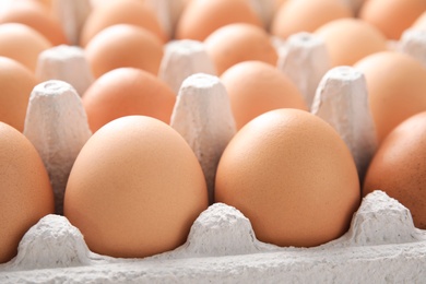 Photo of Raw chicken eggs in carton, closeup view