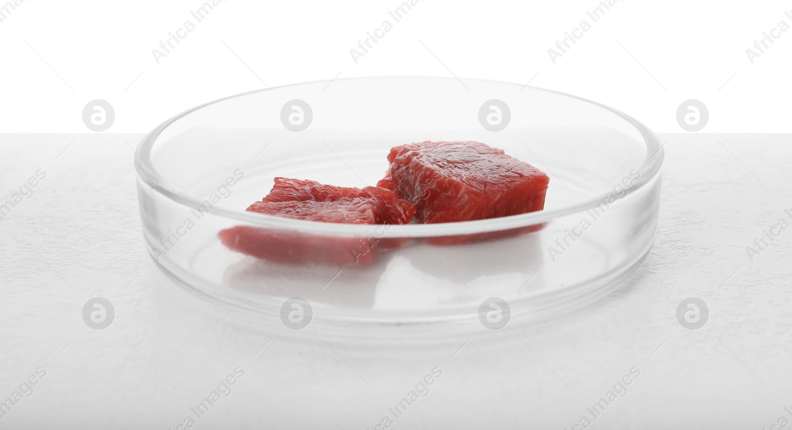 Photo of Petri dish with pieces of raw cultured meat on table against white background