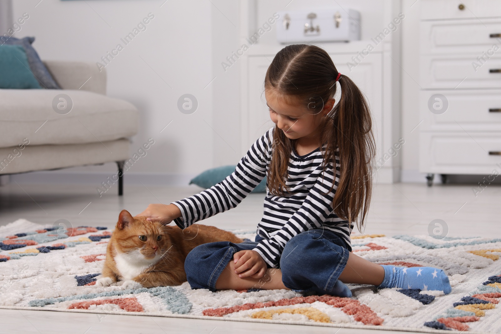 Photo of Little girl petting cute ginger cat on carpet at home