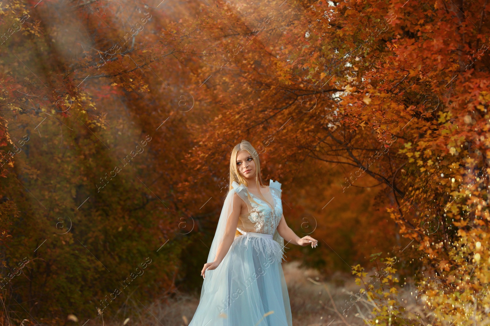 Photo of Beautiful girl wearing fairy dress in autumn forest