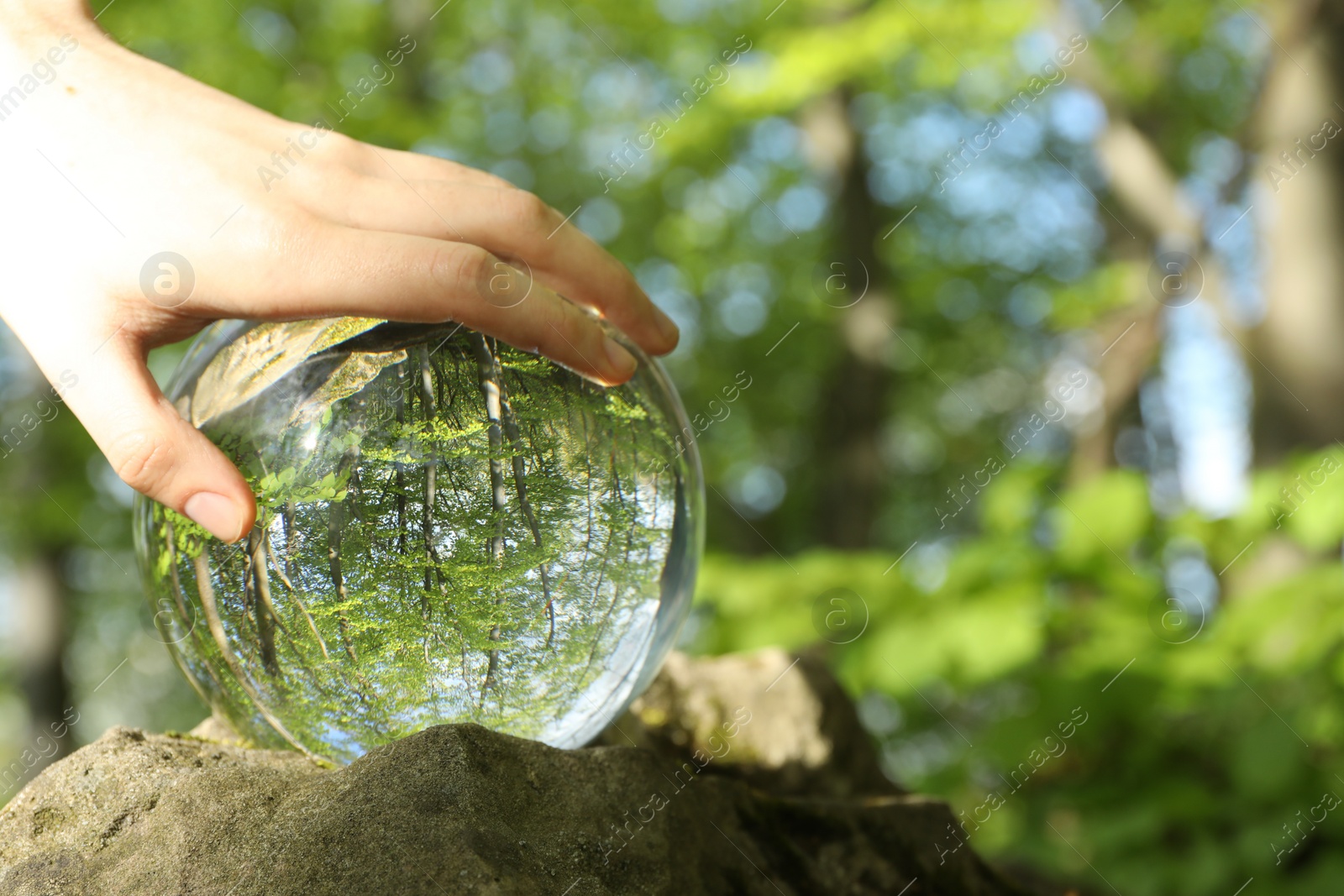 Photo of Beautiful green trees outdoors, overturned reflection. Man with crystal ball in forest, closeup