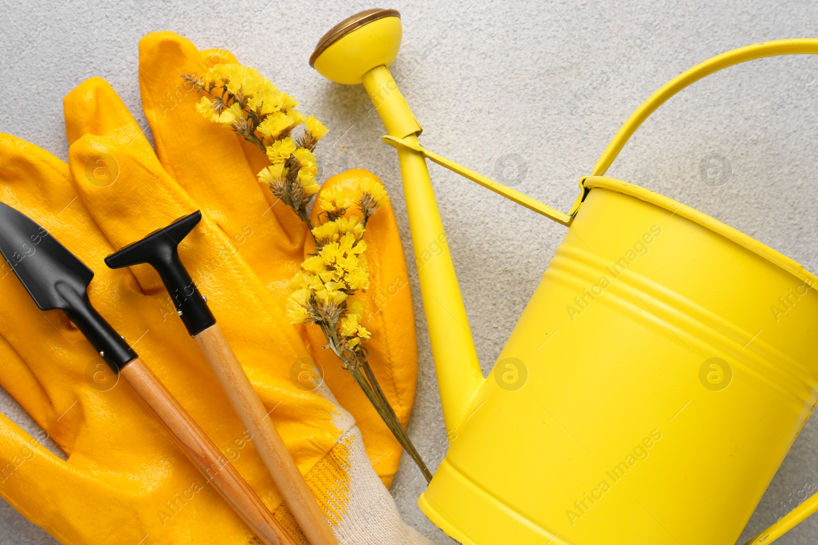 Photo of Watering can, gardening tools and beautiful flower on light grey background, flat lay