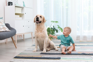 Photo of Adorable yellow labrador retriever and little boy at home