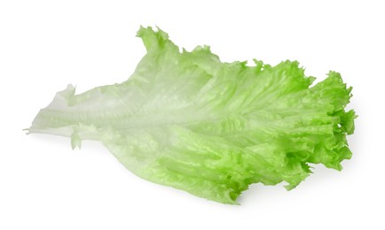 Photo of Leaf of fresh lettuce isolated on white. Salad greens