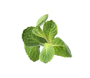 Photo of Twig of fresh mint isolated on white, top view