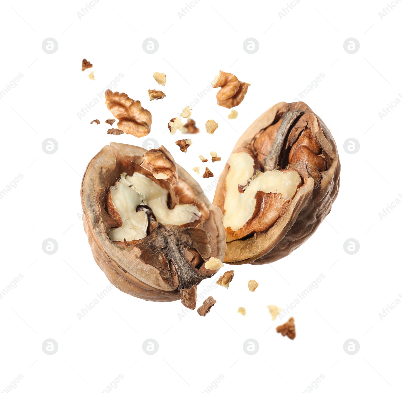 Image of Broken walnut and pieces of shell flying on white background
