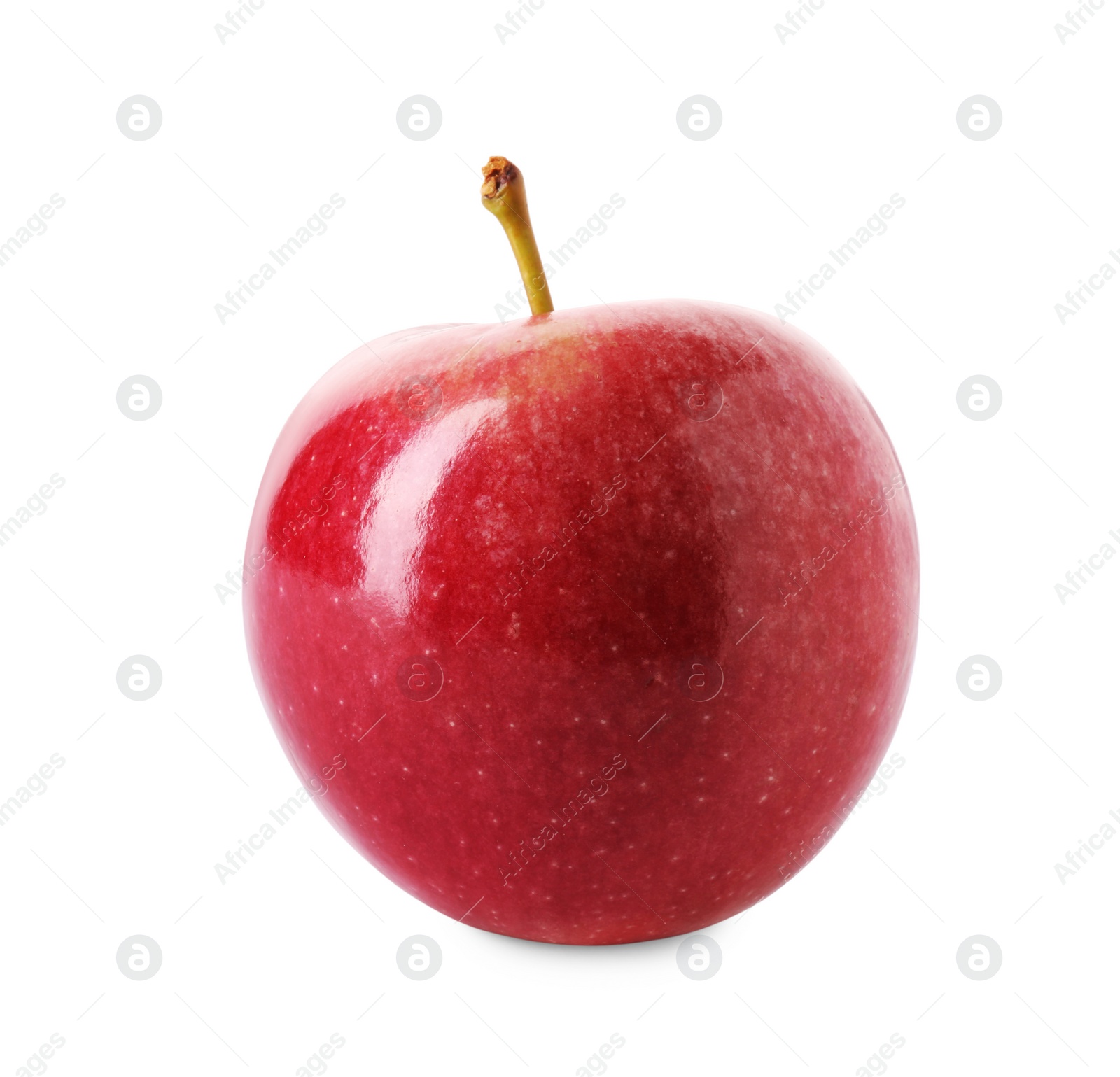 Photo of One ripe red apple isolated on white