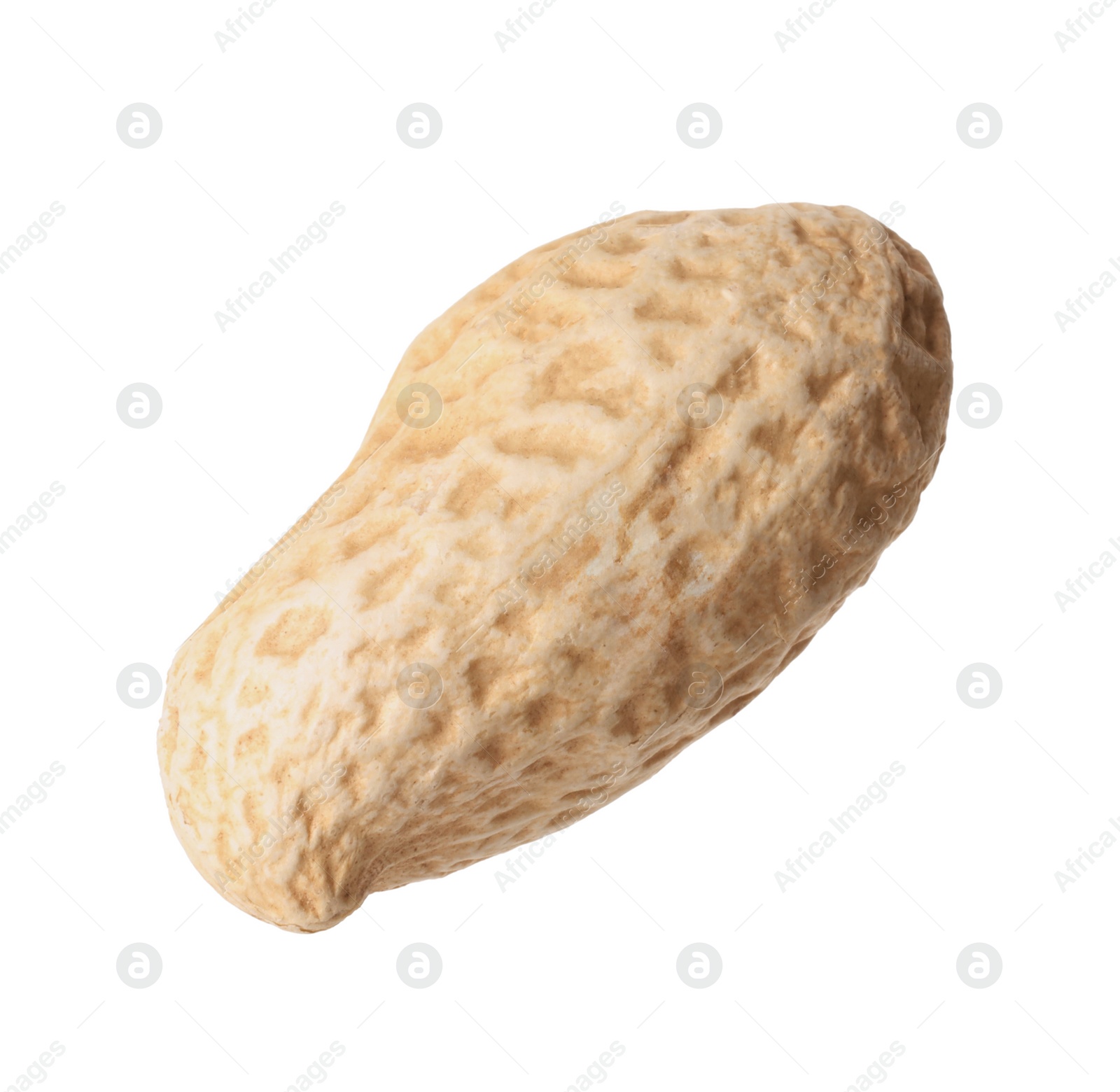 Photo of One fresh unpeeled peanut isolated on white