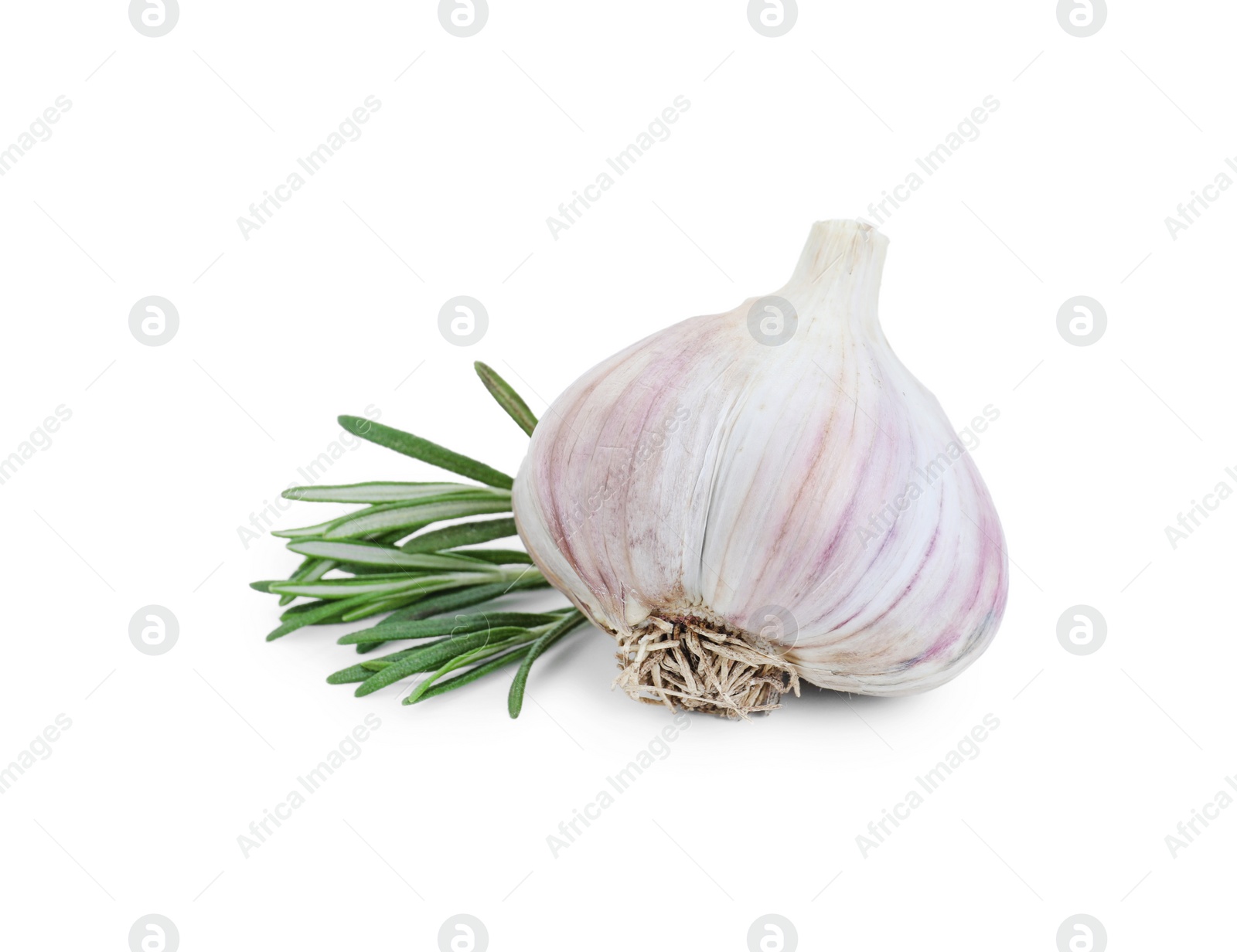Photo of Fresh garlic bulb and rosemary isolated on white
